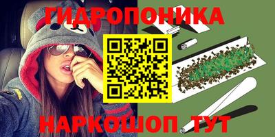 дурь Кимры
