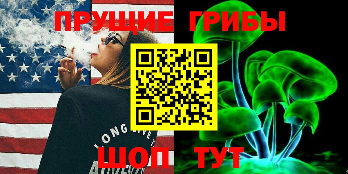 Псилоцибиновые грибы Cubensis Крымск